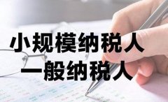 关于增值税减免政策企业开具发票常见问题解读